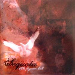 Sequoia : The Forgotten Link